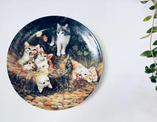 צלחת אספנות לתליה