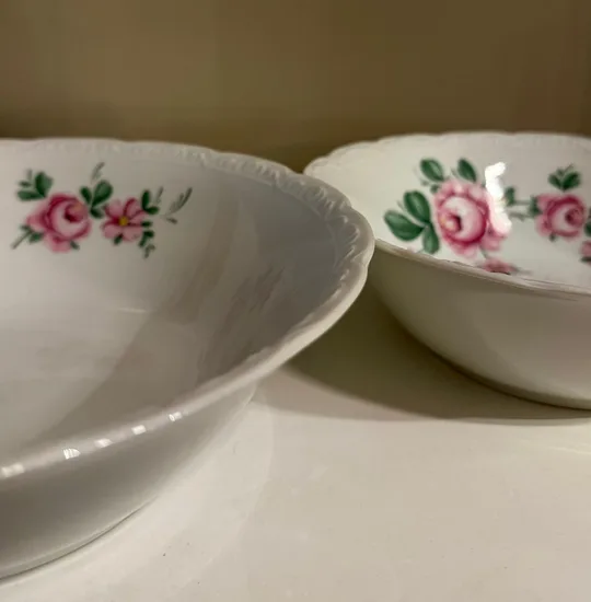 קערה מפורצלן קוטר 24.5 ס"מ