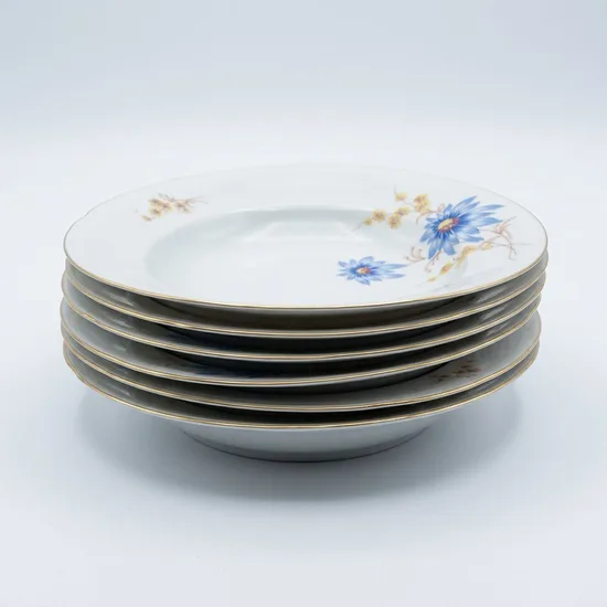 צלחת מרק מפורצלן קוטר 24.5 ס"מ