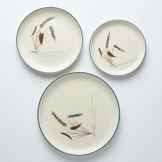 צלחת מנה עיקרית קוטר 25.5 ס"מ חרס אנגלי סרוויס פס ירוק